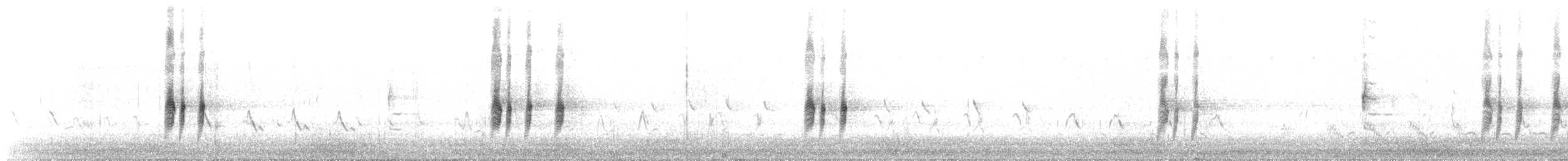 Antillean Nighthawk - ML638033288