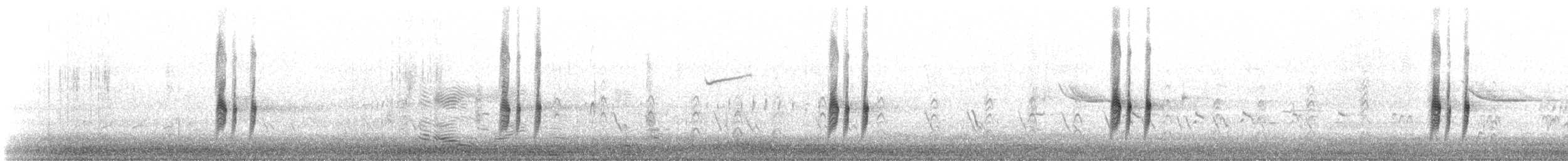 Antillean Nighthawk - ML638033474