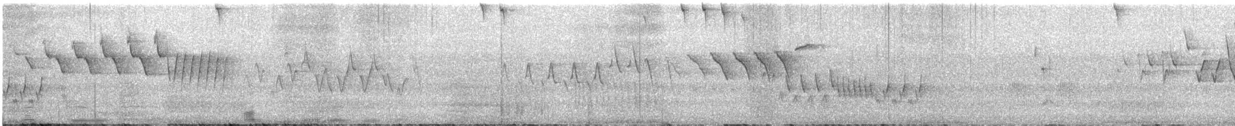 Nashville Warbler - ML638034376