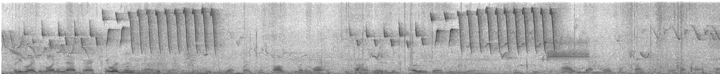 Tennessee Warbler - ML638035255