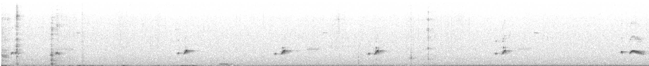 Ash-throated Flycatcher - ML638037333