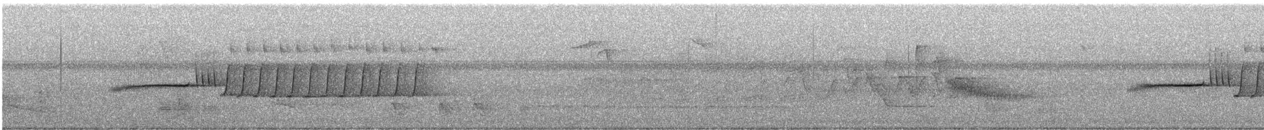 Bachman's Sparrow - ML638037364