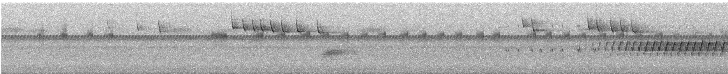 Bachman's Sparrow - ML638037378