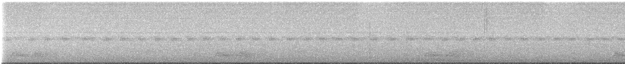 Chuck-will's-widow - ML638037676