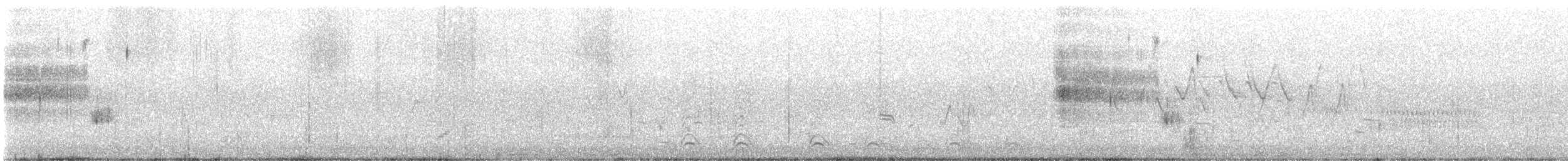 Nelson's Sparrow - ML638039695
