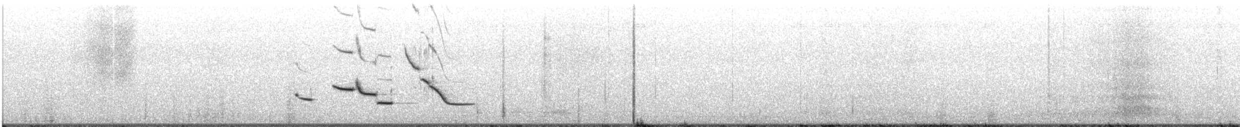 Sturnella meadowlark sp. - ML638039751