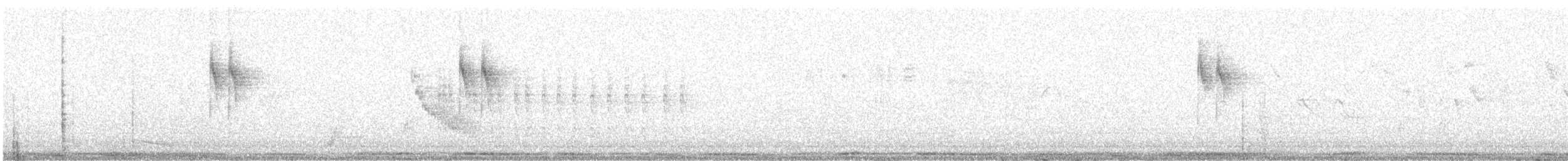 灰鶺鴒 - ML638039826