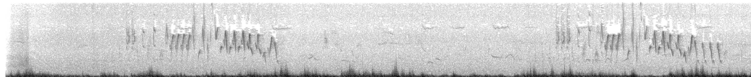 Northern House Wren - ML638040091