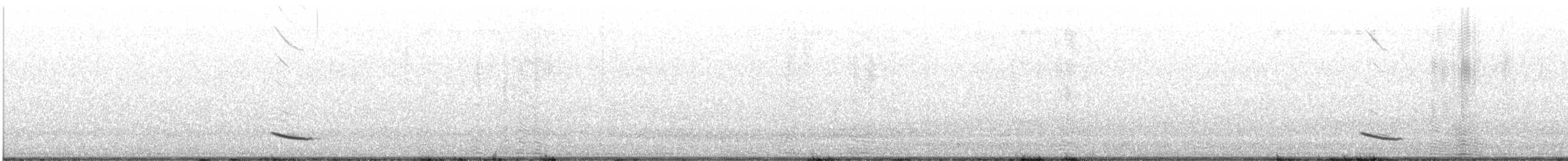 Sturnella meadowlark sp. - ML638040107