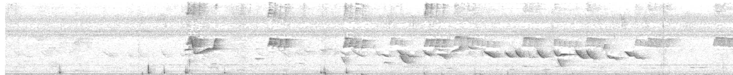 Chestnut-bellied Seed-Finch - ML638044775