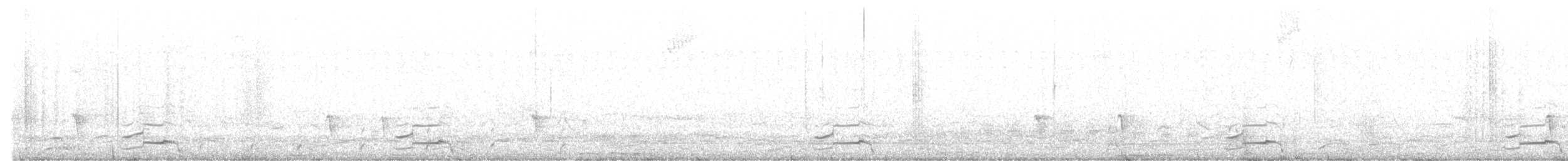 Band-tailed Guan - ML638045177