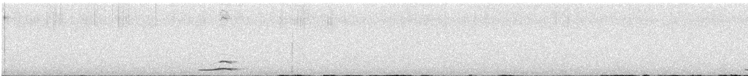 Boreal Owl (Richardson's) - ML638051307