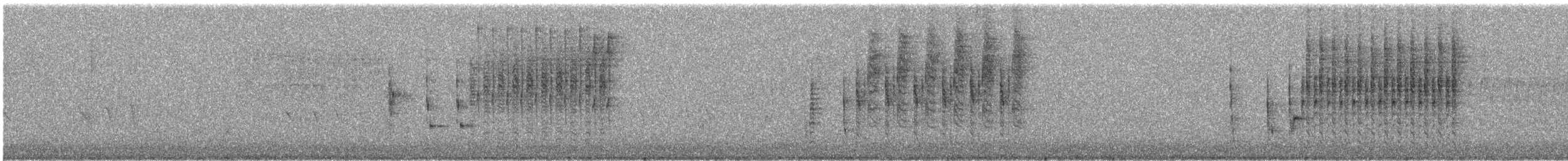 Troglodyte des marais - ML63805231