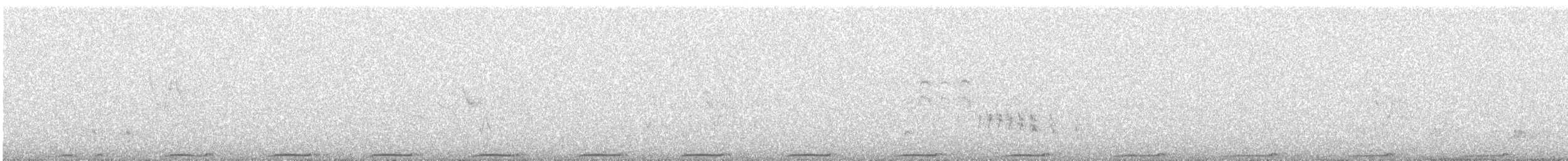 Хүнхэл тагтаа - ML638052360
