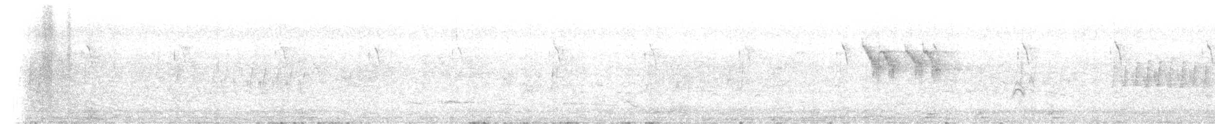 Золотистая цистикола - ML638055883