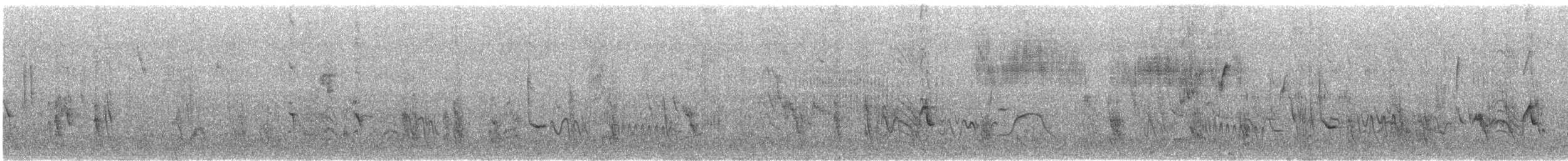 Cape Starling - ML638056566