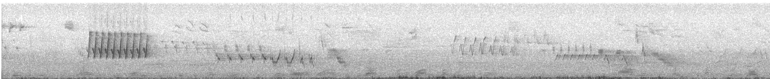 Western Bonelli's Warbler - ML638056753