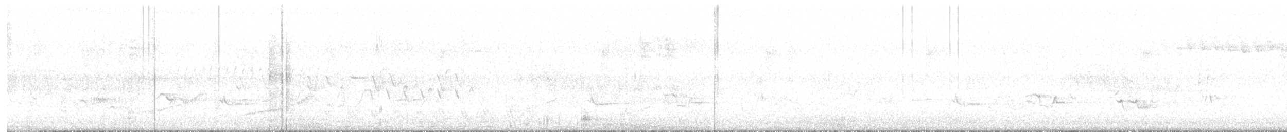 morčák chocholatý - ML638056792