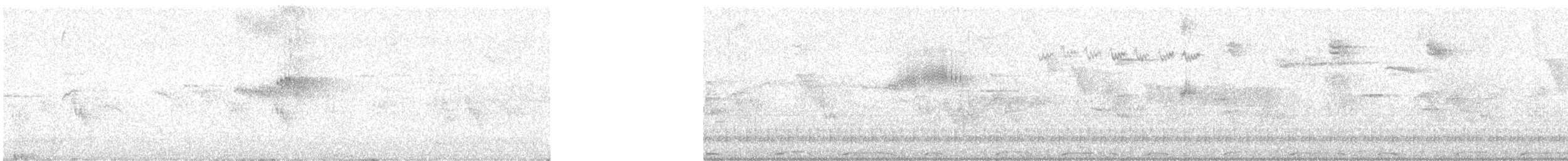 Чёрный стриж - ML638056854