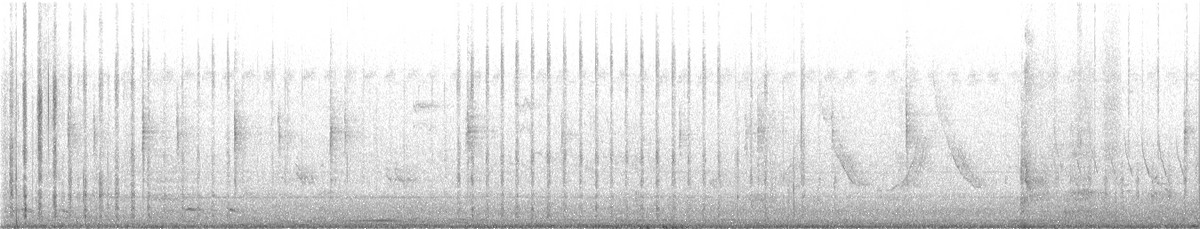 Inca Dove - ML638057938