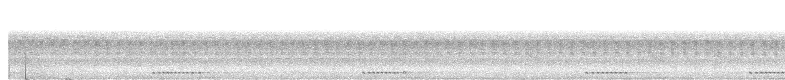 Black-browed Barbet - ML638057961