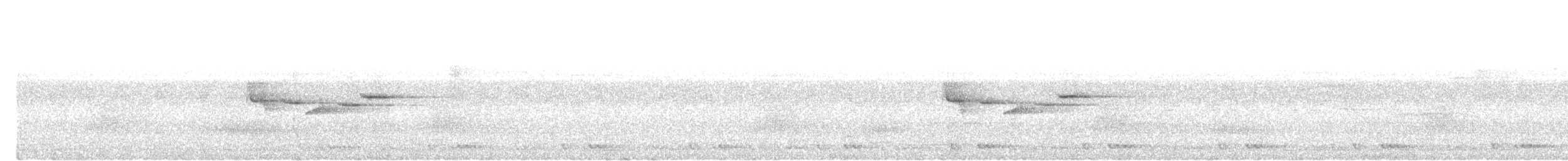 Yellow-bellied Warbler - ML638058053