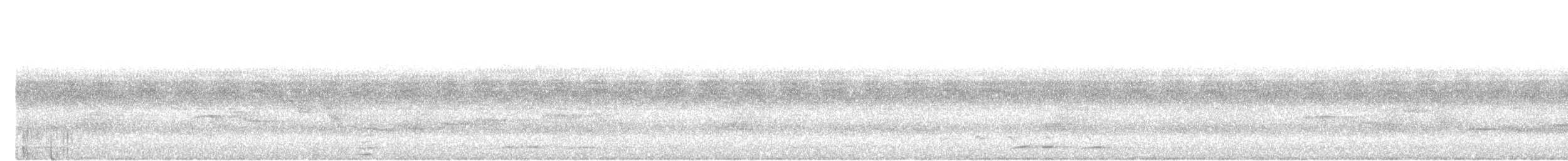 Sunda Scimitar-Babbler - ML638058062