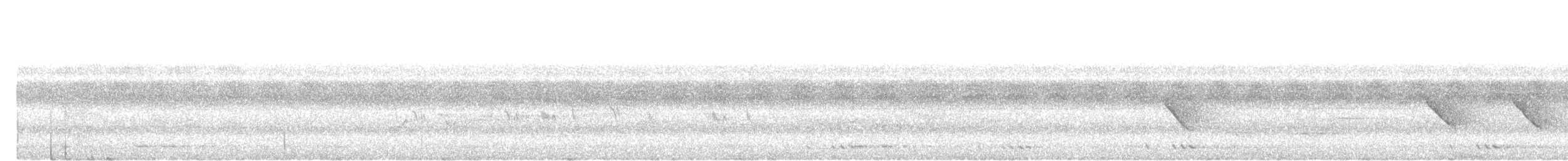 Buff-breasted Babbler - ML638058068