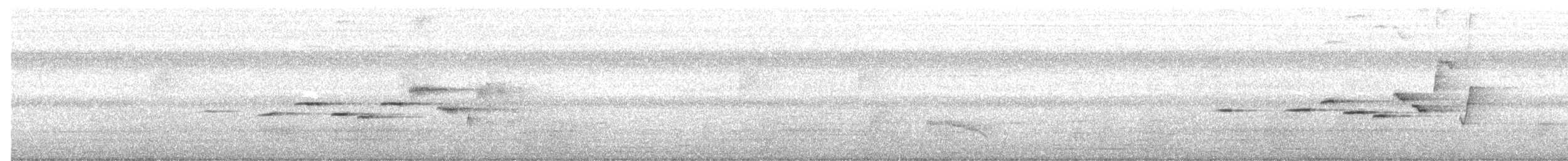 白喉短翅鶇 - ML638059497