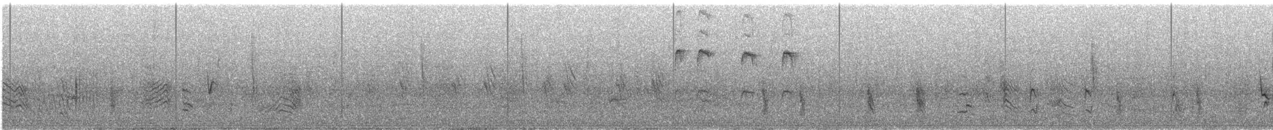 Cape Starling - ML638063739