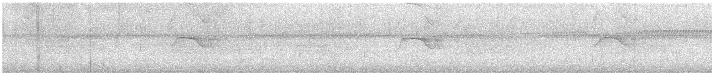Harpage bidenté - ML638063804