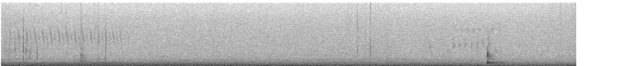 Sedge Wren - ML638064475