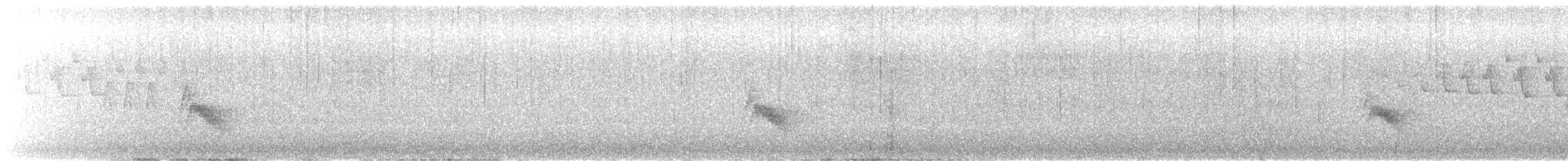 Bicknell's Thrush - ML638067983