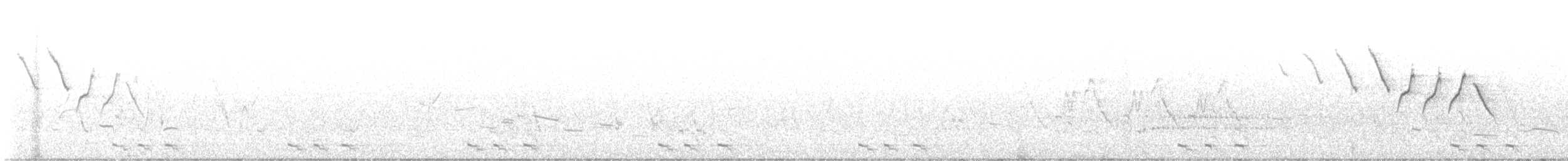 Cuculo occhirossi - ML638068382