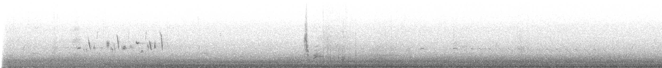 Bell's Sparrow - ML638070094