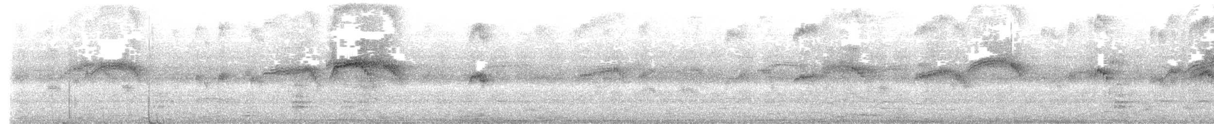 Чёрный стриж - ML638070285