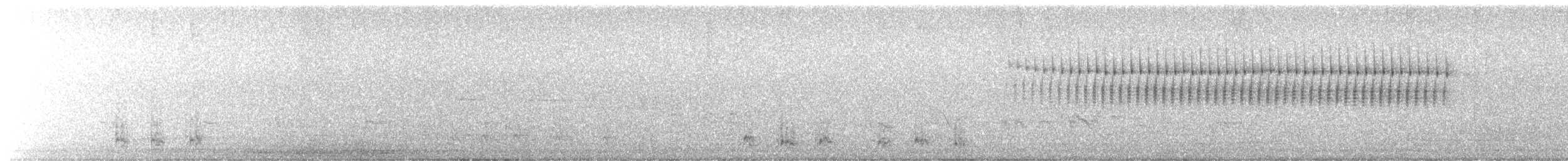 Chipping Sparrow - ML638070370