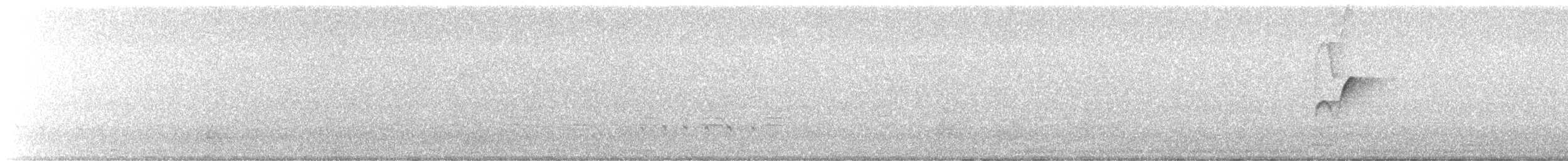 Western Flycatcher - ML638070461