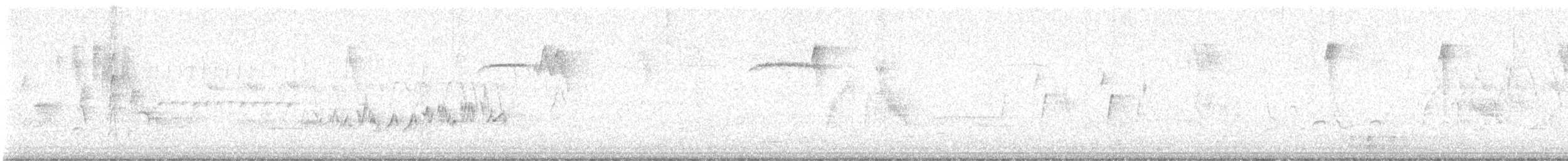 Northern Waterthrush - ML638070954