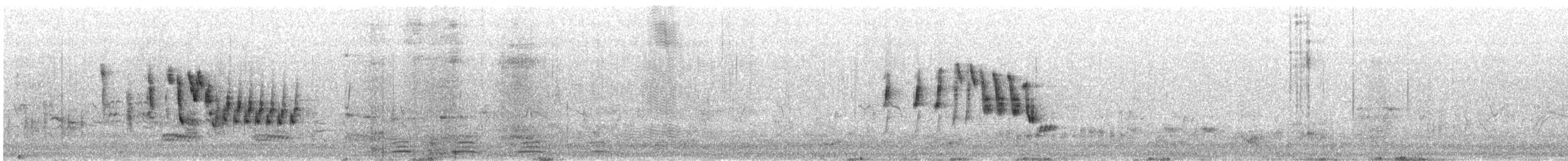 Greater Short-toed Lark - ML638071537
