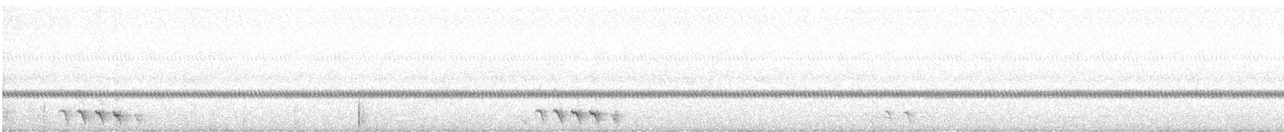 Elf Owl - ML638077164