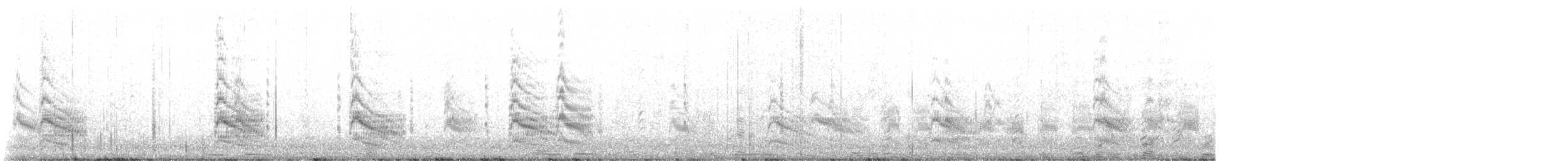 Forster's Tern - ML638079162
