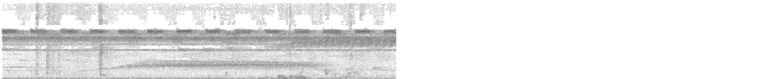 Plumbeous Antbird - ML638080439