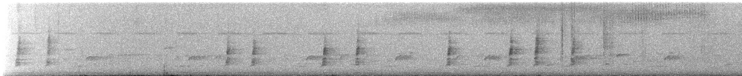 rødleggtrost (ardosiaceus/albiventris) - ML638080537