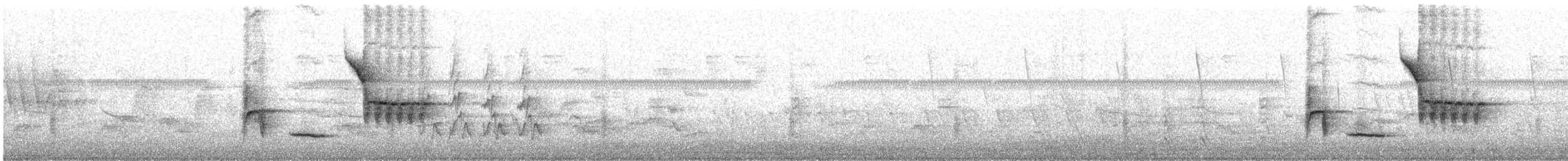 Tohi à flancs roux - ML638080789