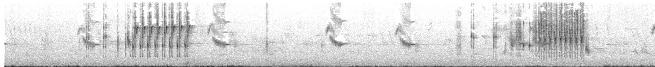 Marsh Wren - ML638081280