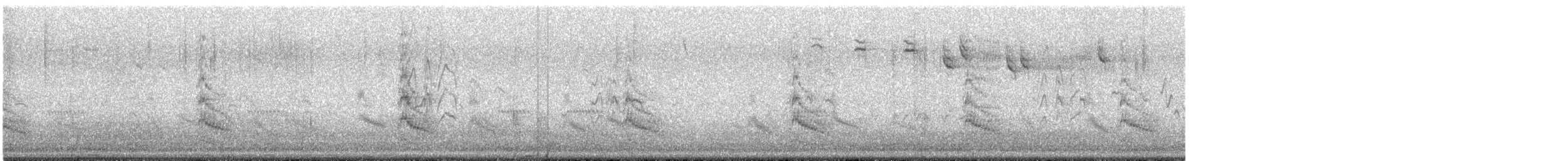 Forster's Tern - ML638083277