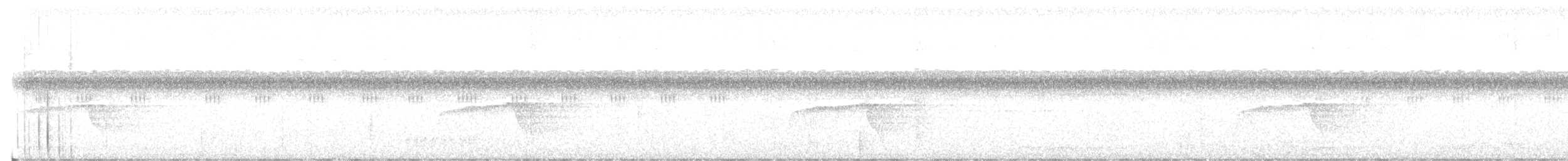 Dot-backed Antbird - ML638084363