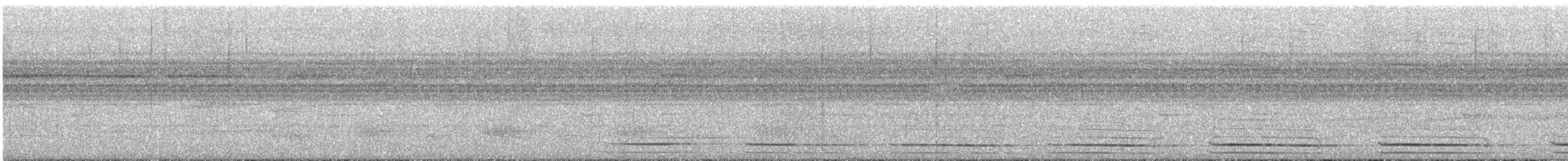 Slaty-backed Forest-Falcon - ML638084428