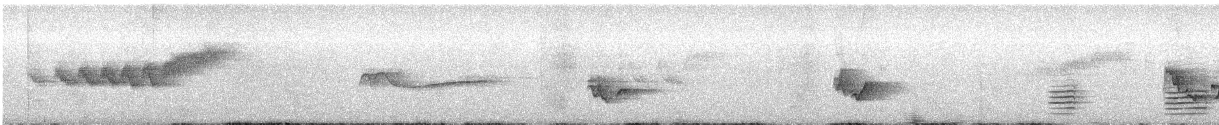 Black-throated Blue Warbler - ML638085237